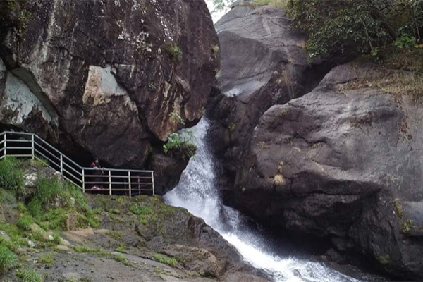 Parassinikkadavu Snake Park